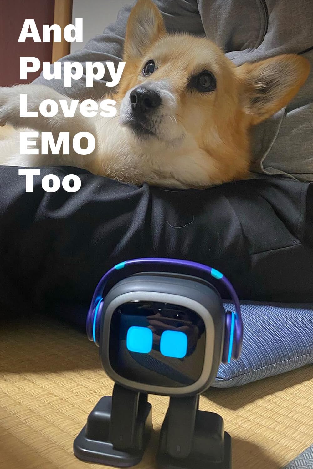 EMOPET AI Desk Robot Companion - ChatGPT Enabled with Voice Commands & Dance Feature, Interactive Robot Pet with Personality, Comes with Charging Home Station