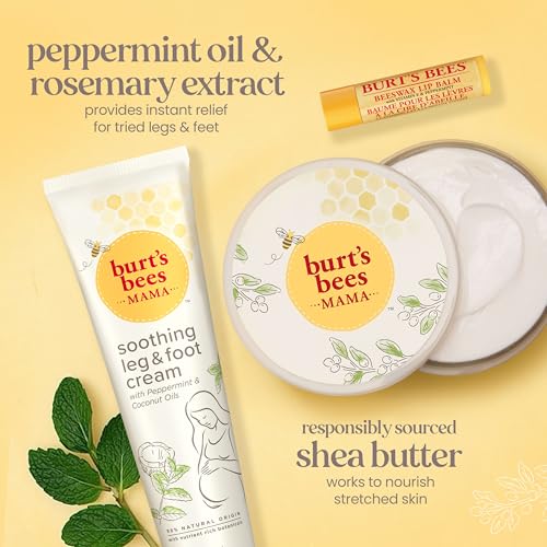 Burt's Bees Gifts Ideas - Classics Set, 6 Products in Giftable Tin – Cuticle Cream, Hand Salve, Lip Balm, Res-Q Ointment, Hand Repair and Foot Cream